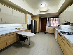Four Seasons Park (D10), Condominium #581893021